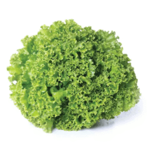 Alface Crespa Verde